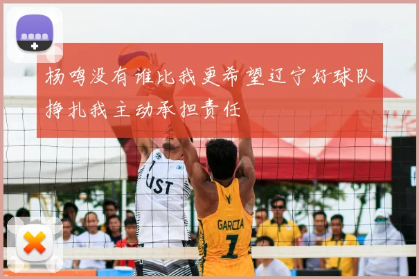 杨鸣没有谁比我更希望辽宁好球队挣扎我主动承担责任