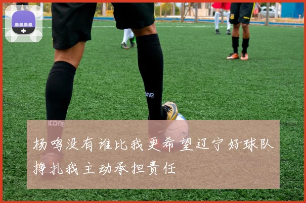 杨鸣没有谁比我更希望辽宁好球队挣扎我主动承担责任