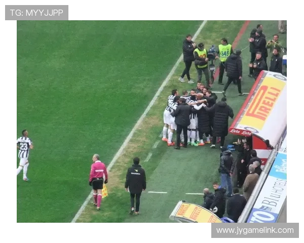 意甲球队专属球场：介绍意甲各球队的主场与球迷文化。